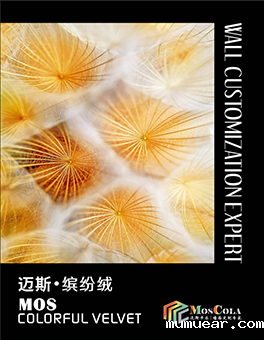 色卡12
